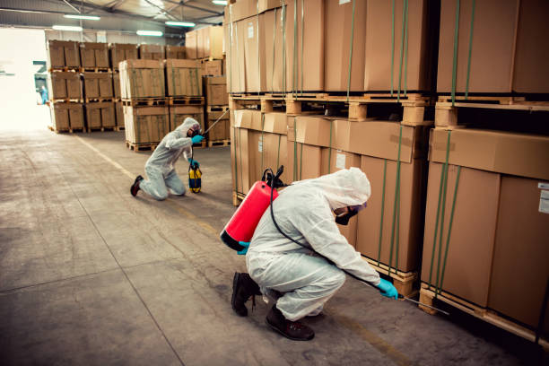 Best Mosquito Control Services  in Prestbury, IL