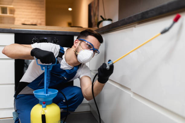 Best Local Pest Control Services  in Prestbury, IL