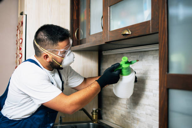 Best Rat Extermination Near Me  in Prestbury, IL