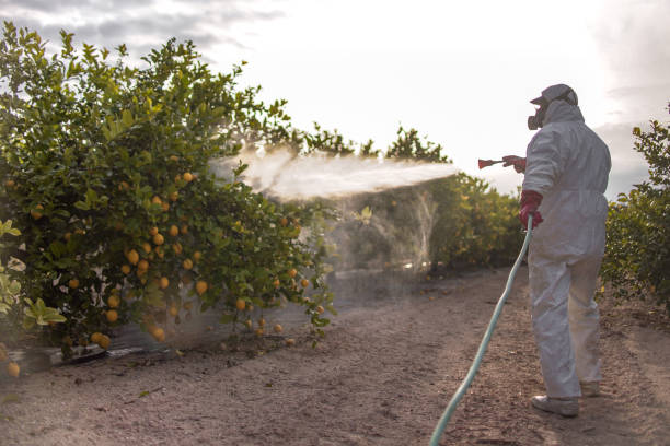 Best Pest Prevention Services  in Prestbury, IL