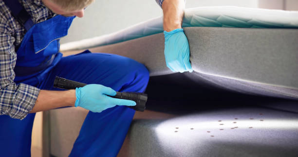 Best Bed Bug Extermination  in Prestbury, IL