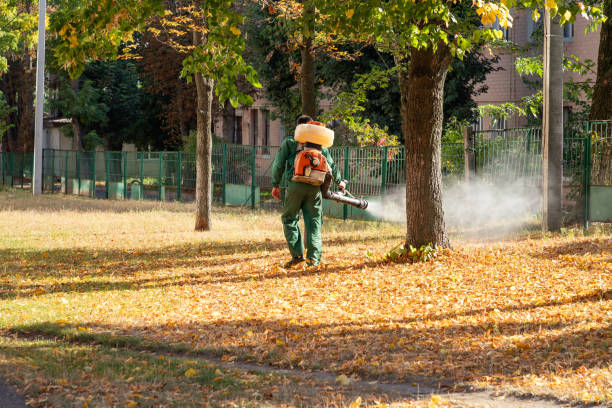 Best Pest Control Treatment  in Prestbury, IL