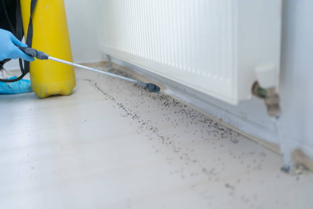 Best Rodent Control Near Me  in Prestbury, IL