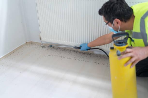 Best Ant Control Services  in Prestbury, IL