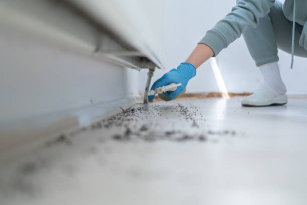 Reliable Prestbury, IL Pest Control Solutions