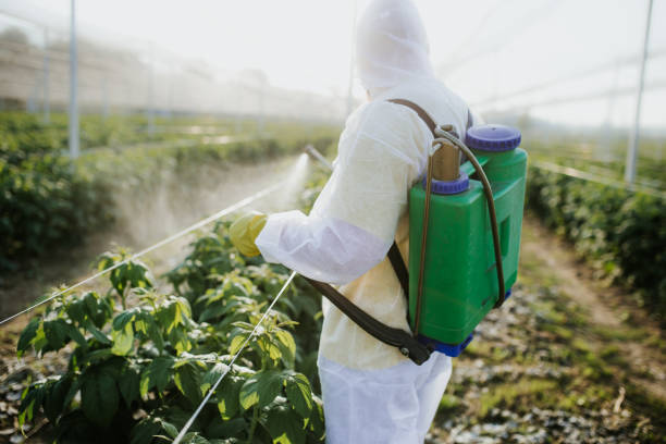 Best Pest Control Cost  in Prestbury, IL